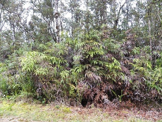 1st image of Lanai St Lot 741