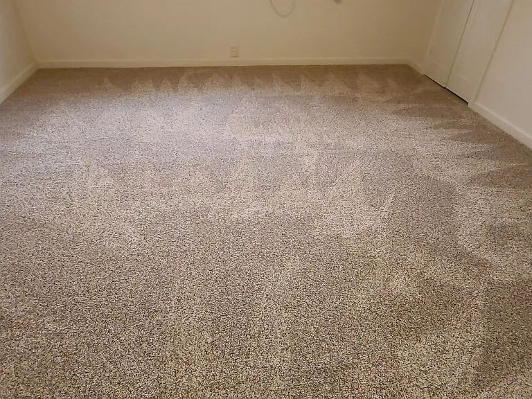 7611 Bodega Ave — Photo 16