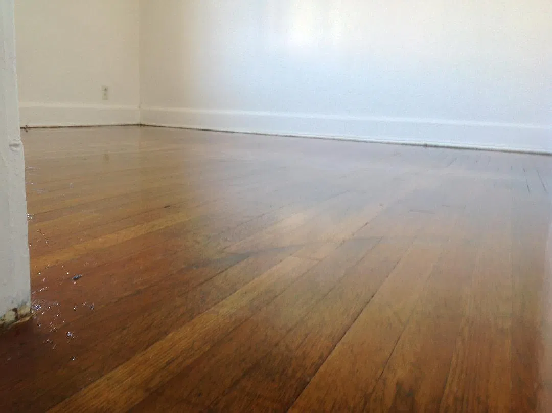 2 bed, 985 sqft, $1,240 — Photo 4