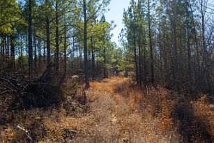 5th image of 0 White Oak Rd Lot Wp020