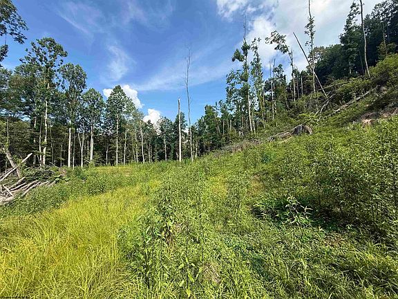 5th image of Knights Fork Rd
