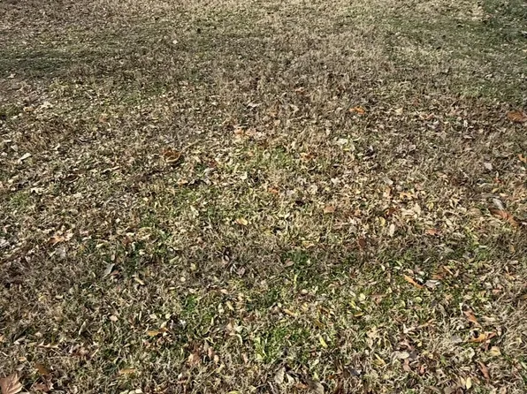 N Wall Ave, Joplin, MO 64801