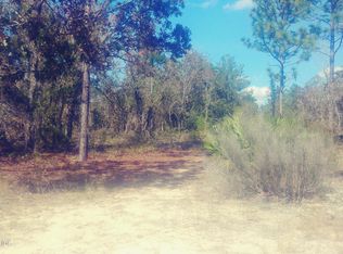 0 SW 58th Ave, Interlachen, FL 32148