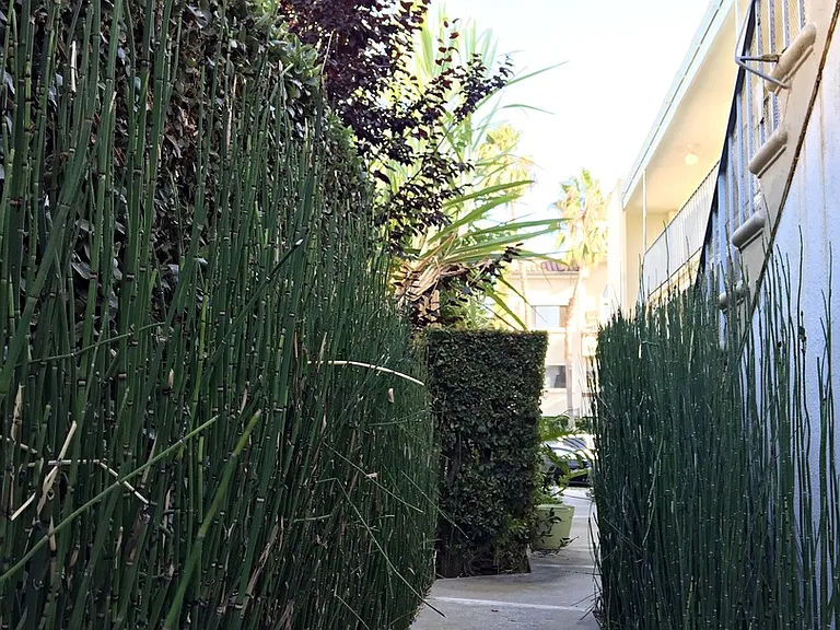 12811 Caswell Ave — Photo 3