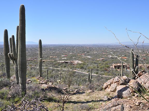 3rd image of 5286 N Mesquite Canyon Pl #13