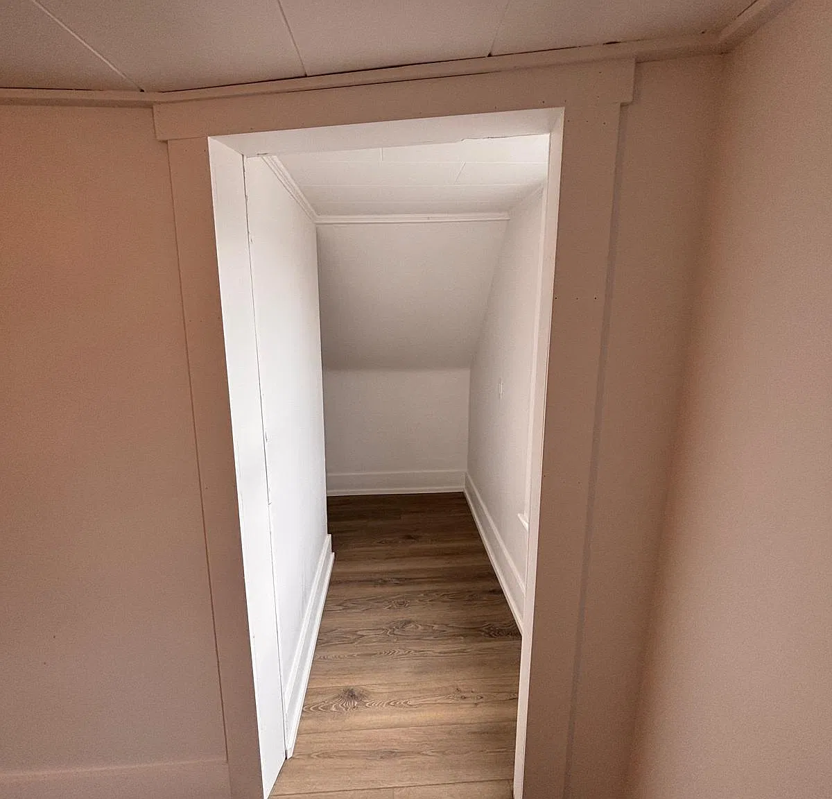 1 bed, 559 sqft, $875 — Photo 3