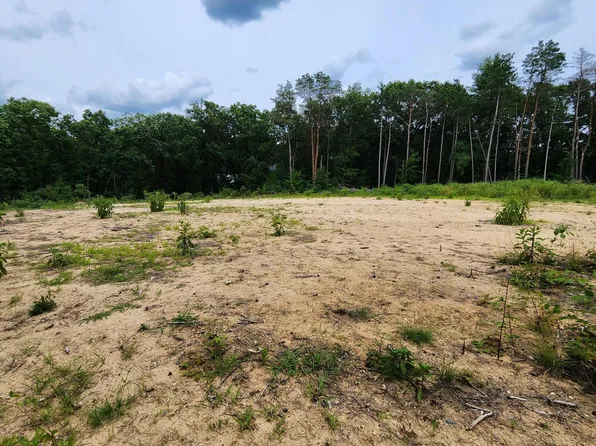 V/l W Jenks Rd, Greenville, MI 48838