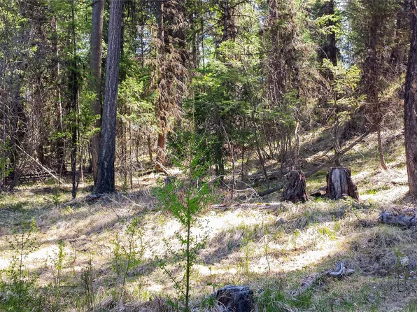 7 Whispering Pnes, Fortine, MT 59918