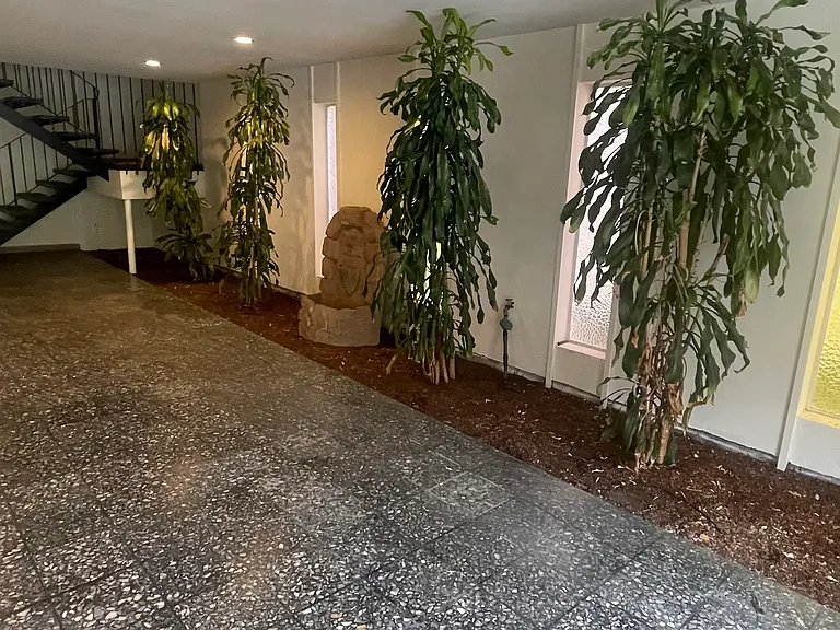 248 Anza St #101 — Photo 13