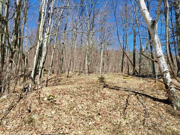 2351 Cram Hill Road, Roxbury, VT 05669