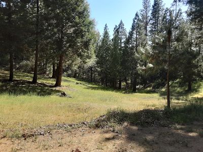 8361 Boondock Trl, Somerset, CA, 95684