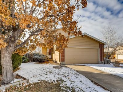 11843 Sherman St, Northglenn, CO, 80233