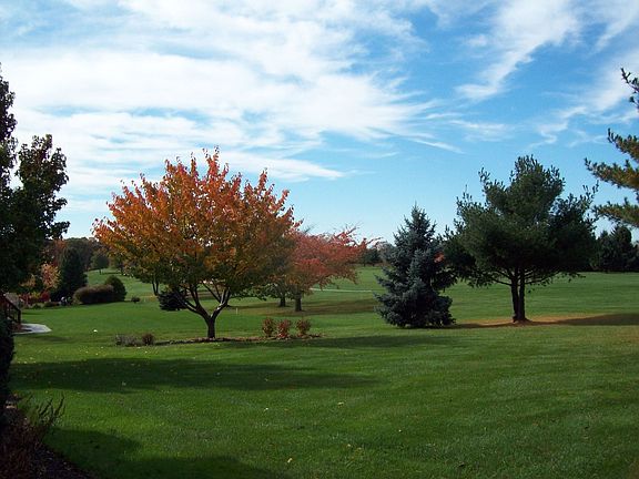 Backyard and Golf Course View