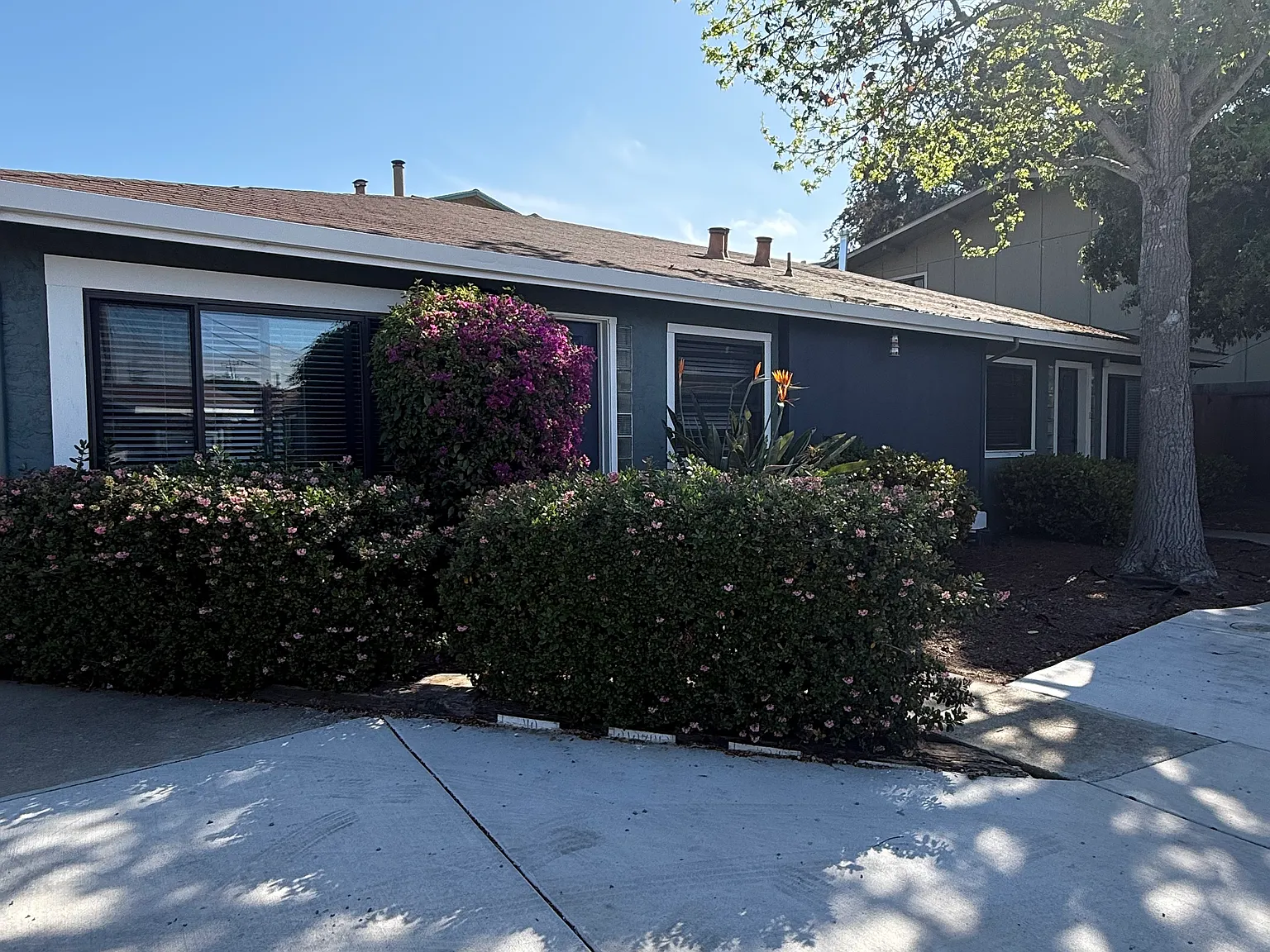 Los Arboles Apartments — Photo 3