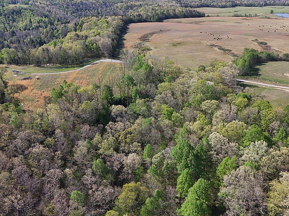 5th image of 0 Hollow Creek Ln