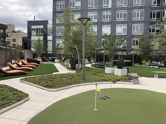 Rented by NY Living Solutions | media 11