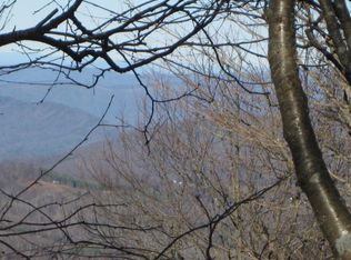 214 N Pinnacle Ridge Rd, Beech Mountain, NC 28604