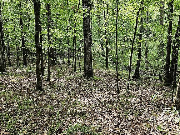 5th image of 130 Bennie Burrow Loop