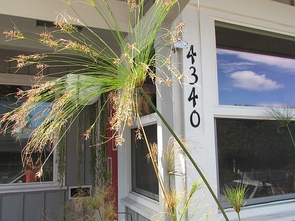 3rd image of 4340 Lerida Dr