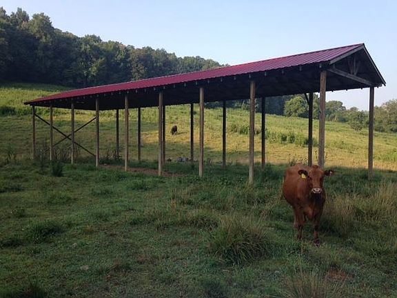 4th image of 315 Cornersville Access Rd