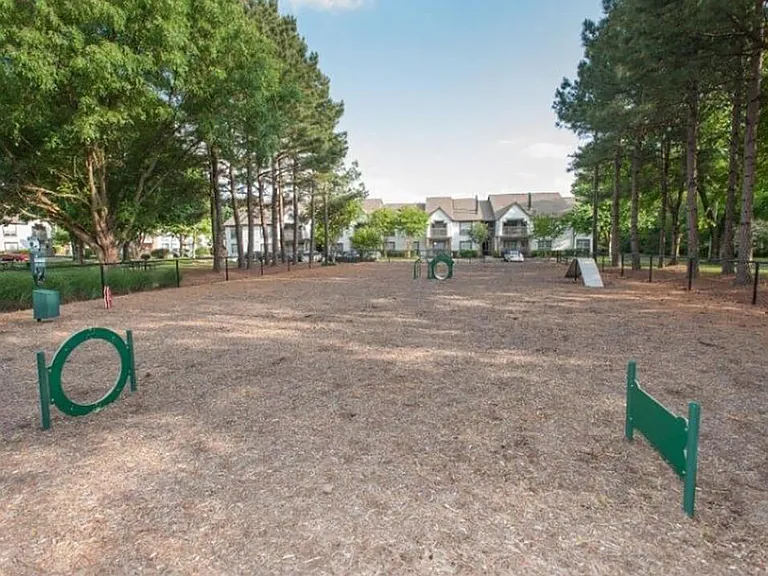 Fenced in Dog Park