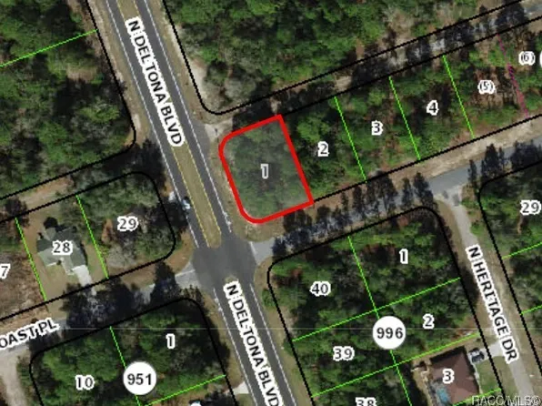 375 W Goldcoast Pl, Citrus Springs, FL 34434