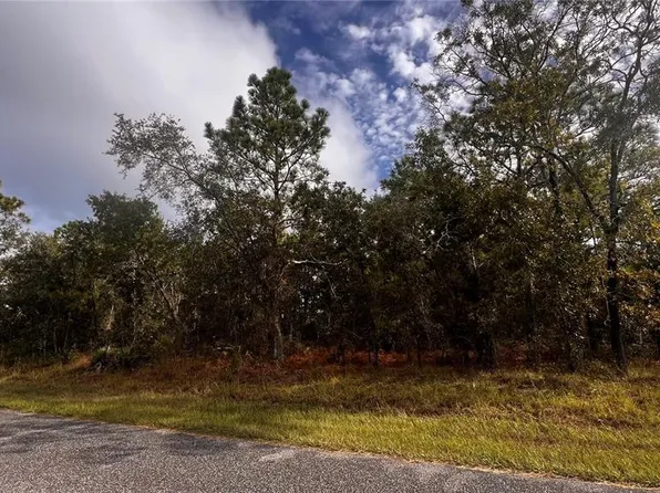 11290 Lapwing Rd Lot 14, Brooksville, FL 34614