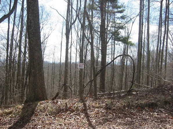 95 Winding Ridge Rd, Marshall, NC 28753