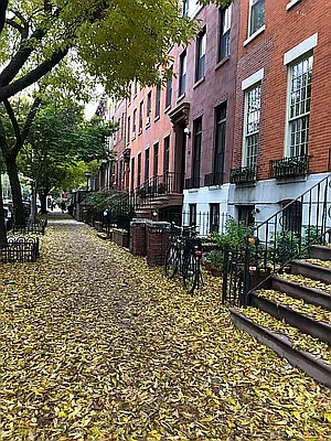 Rented by Compass | media 19