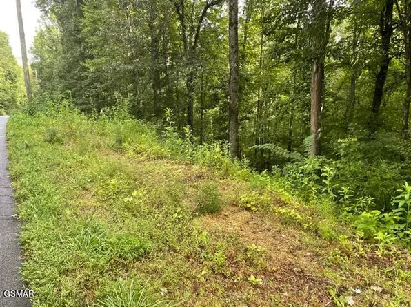 3407 Covemont Ln Lot 1, Sevierville, TN 37862
