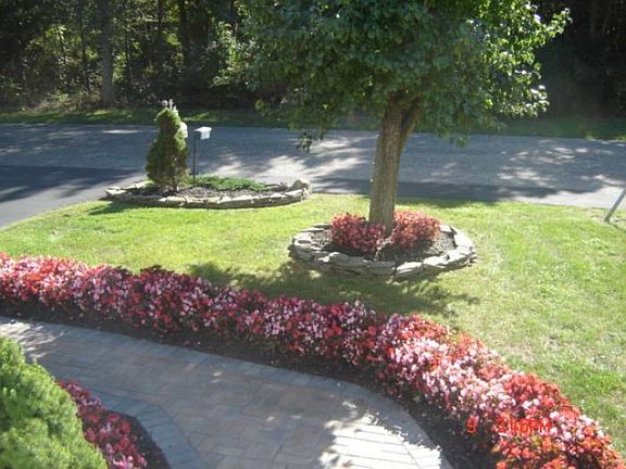 Front Yard