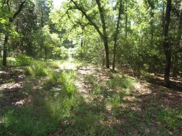Wildwood, Murchison, TX 75778
