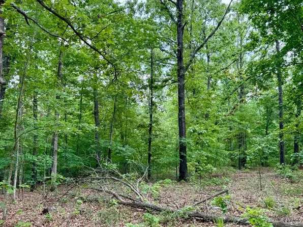 510 Skylark Rd, Washburn, MO 65772