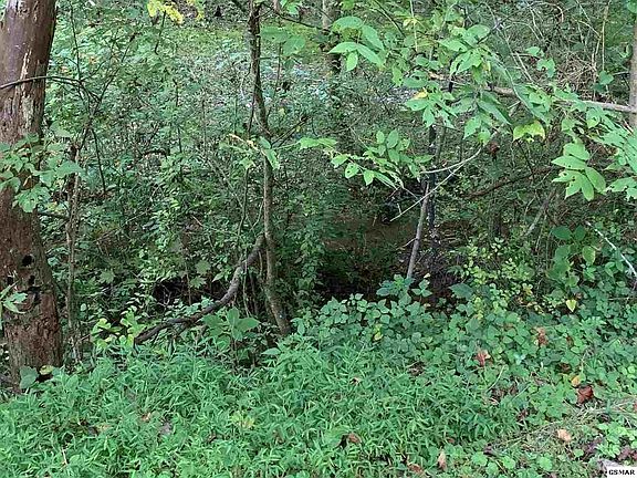 3rd image of 0 Hollow Branch Way