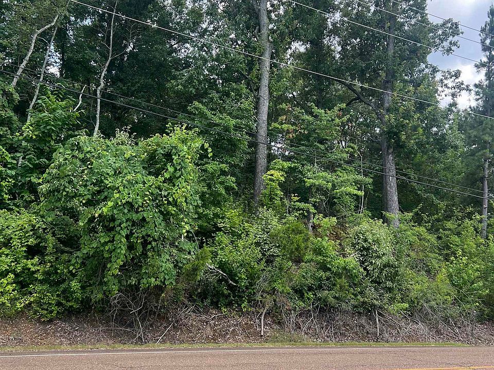 1st image of 8207 Old Brownsville Rd Lot 8