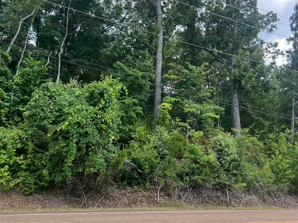 8207 Old Brownsville Rd Lot 8, Arlington, TN 38002
