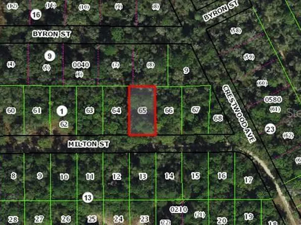 1910 Milton St #65, Inverness, FL 34453