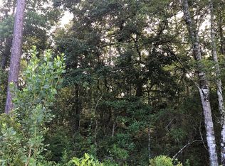 Als Satch Rd, Middleburg, FL 32068