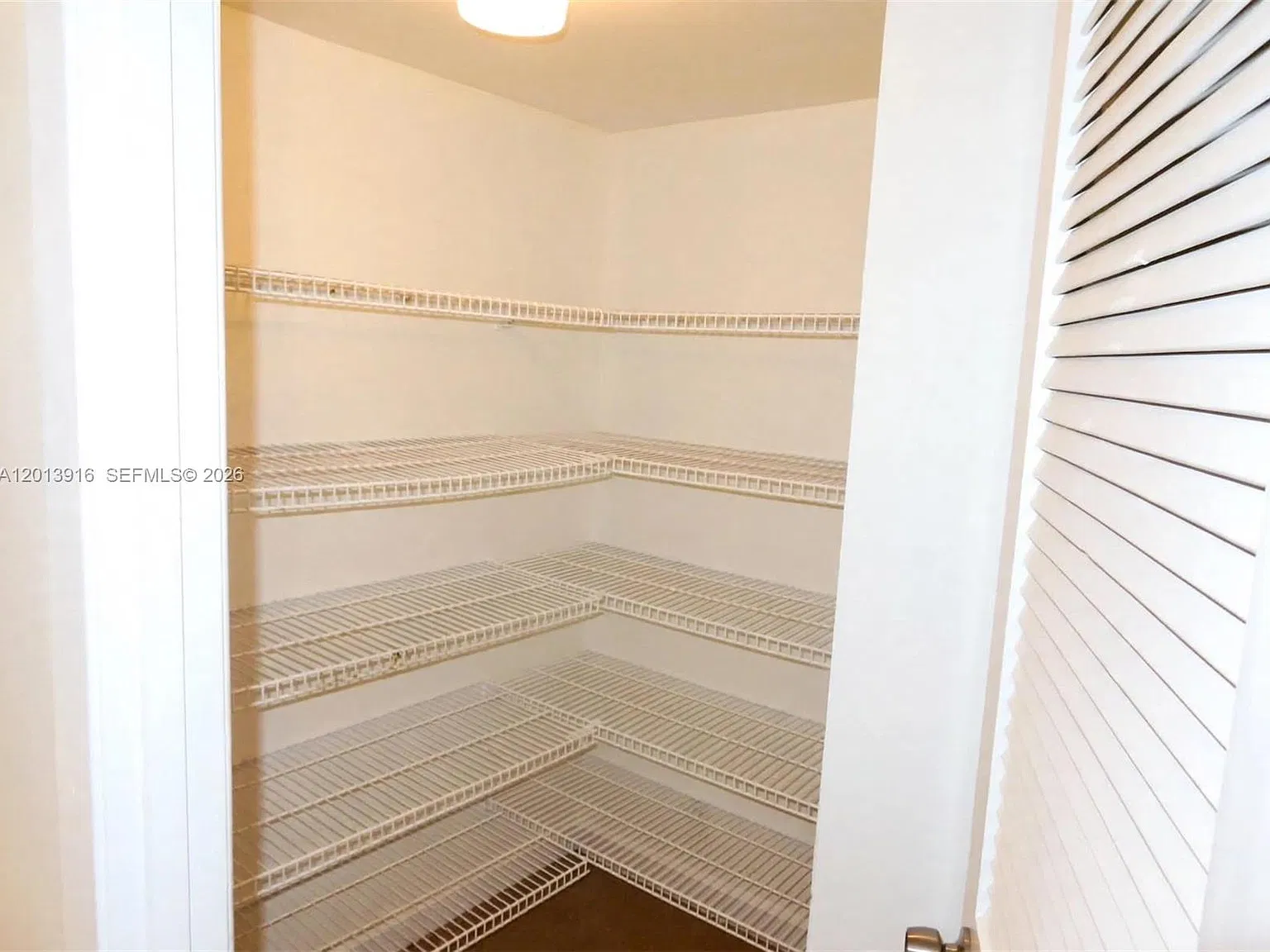 Olympus Condo Phase — Photo 3