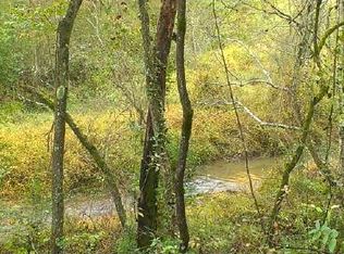 Parks Rd, Ellijay, GA 30540