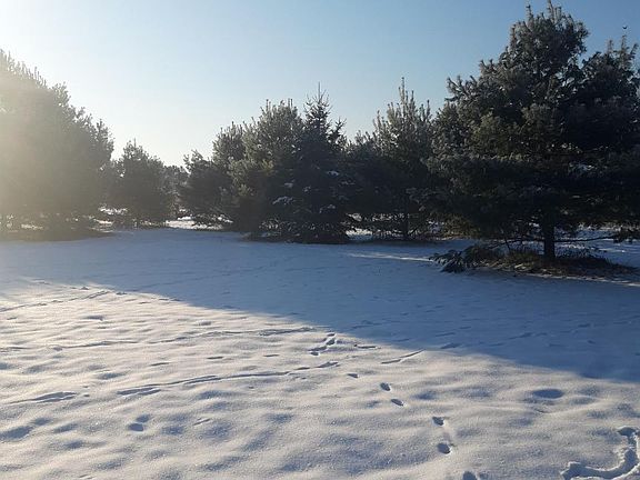 3rd image of Lot 3 S MERCER LAKE CIR