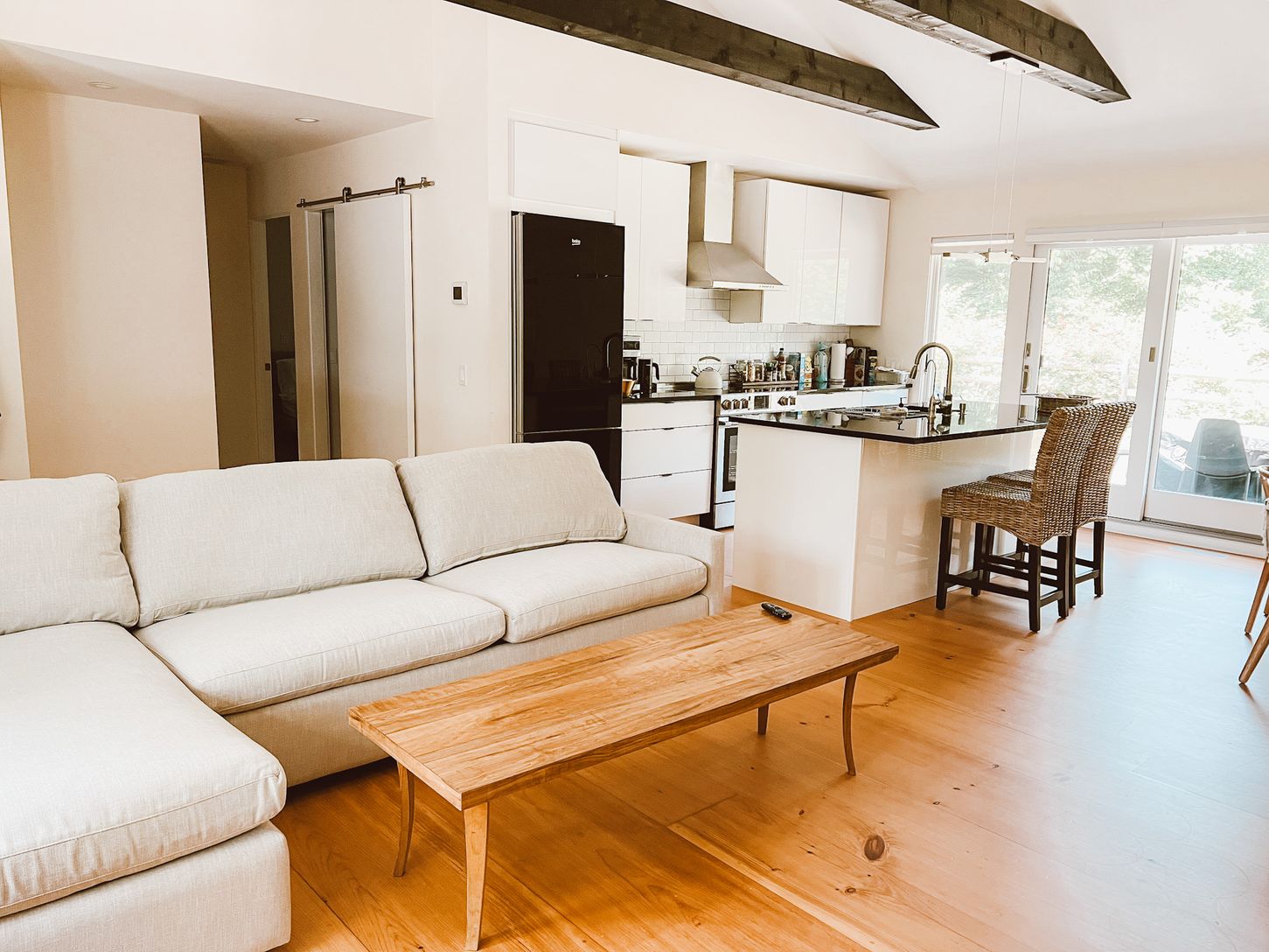  LIVING ROOM / PULL OUT COUCH