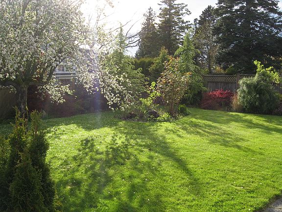 Beutifully landscaped backyard