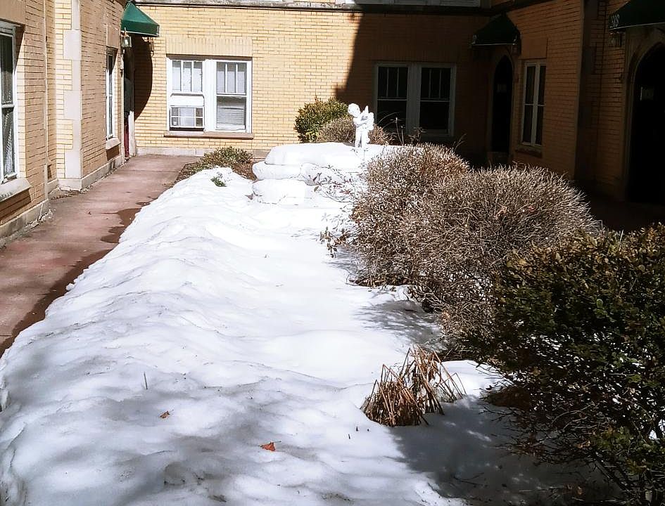 1st image of 2326 W Sunnyside Ave #1
