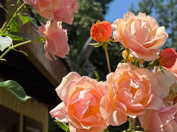 1927 Marsh Road, Santa Rosa, CA 95403