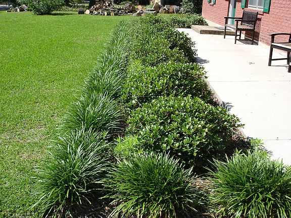 Front Porch Shrubbery