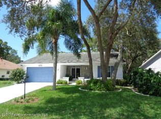 6554 Pine Meadows Dr, Spring Hill, FL 34606