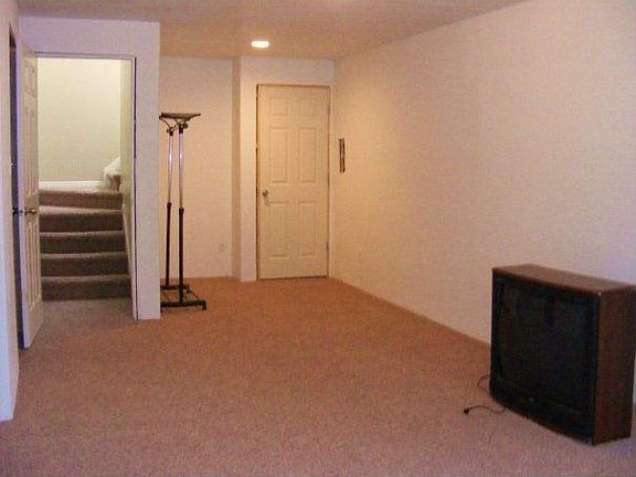 Basement family room