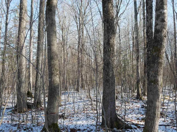 4.70 Acres US HIGHWAY 8, Prentice, WI 54556