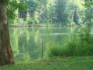 1st image of 425 River Oaks Dr